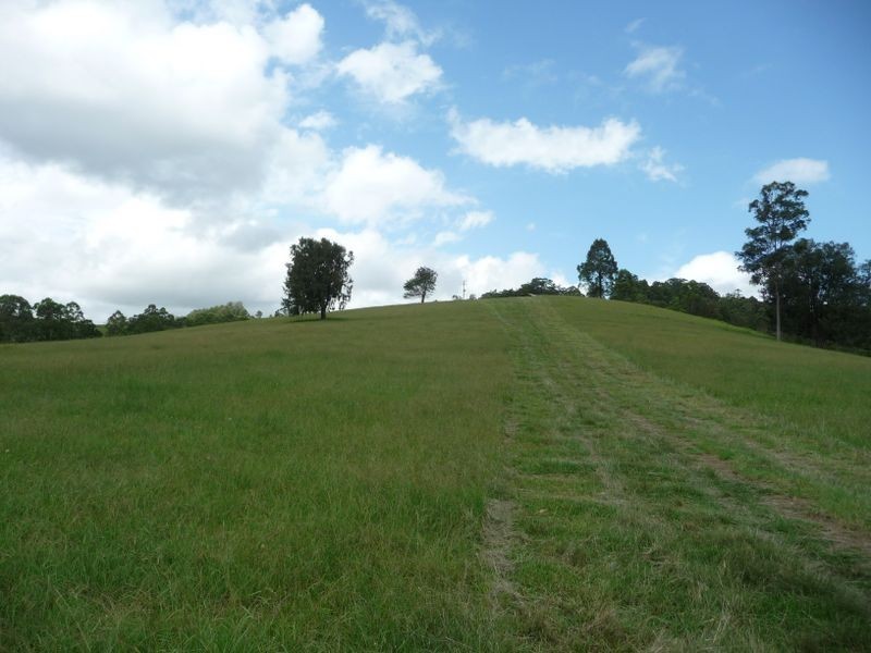 Strathcedar NSW 2429