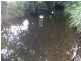 Strathcedar NSW 2429