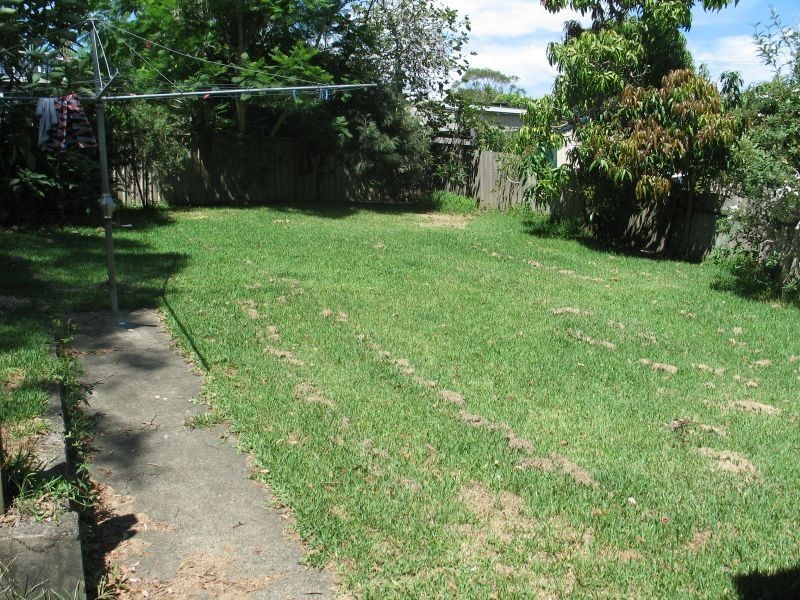 18 McPherson Street, Wingham NSW 2429