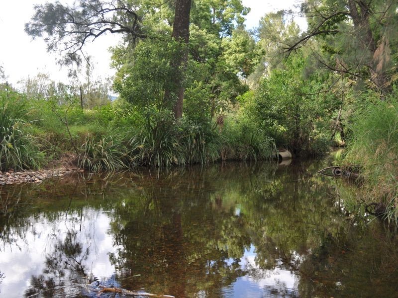Mount George NSW 2424