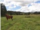 Mount George NSW 2424
