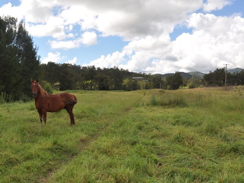 Mount George NSW 2424
