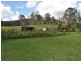 Mount George NSW 2424