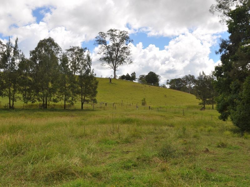 Mount George NSW 2424