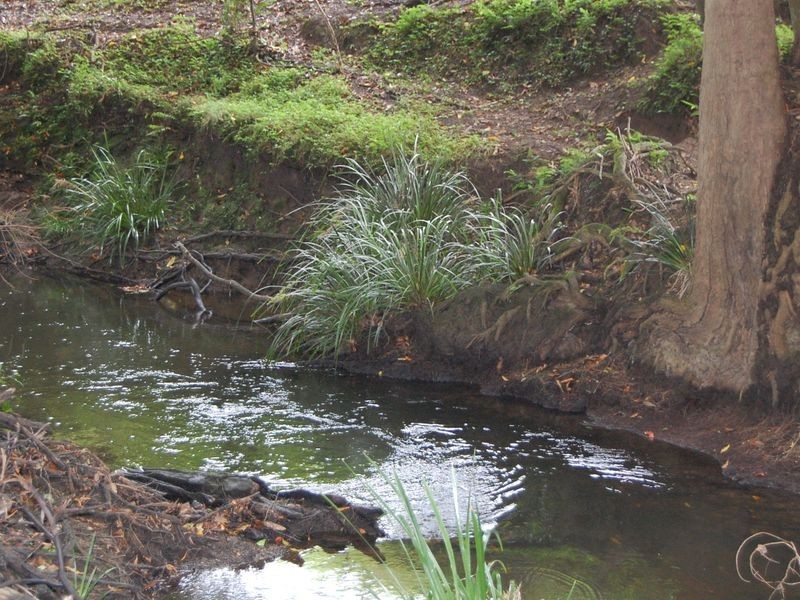 Dyers Crossing NSW 2429