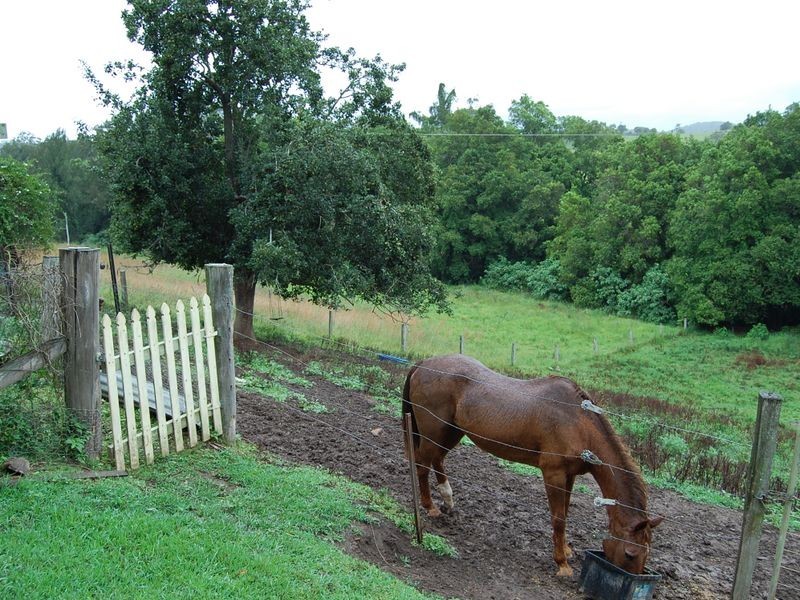 Dyers Crossing NSW 2429