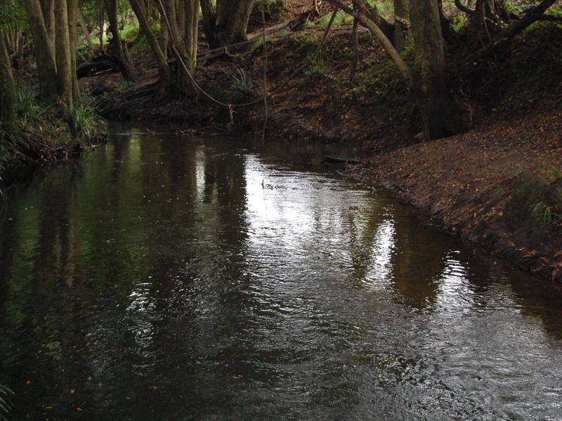 Dyers Crossing NSW 2429