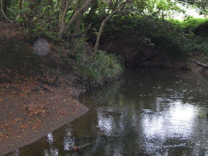 Dyers Crossing NSW 2429