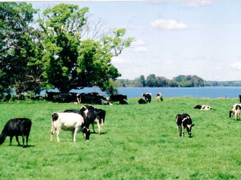 Jones Island NSW 2430