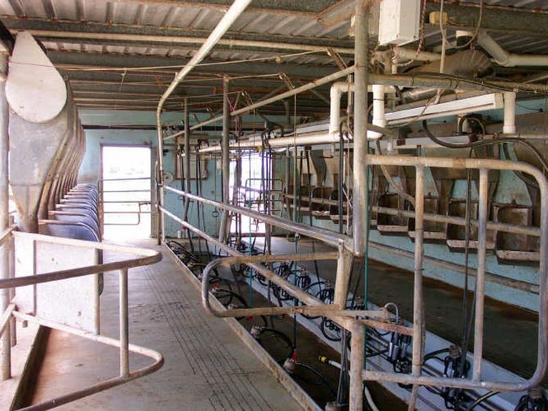 Jones Island NSW 2430