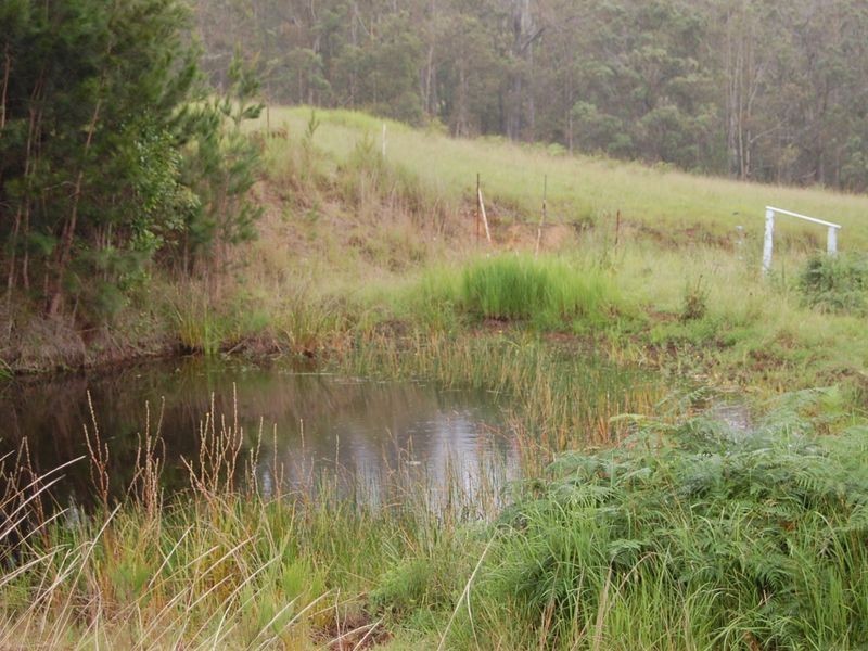 Tinonee NSW 2430