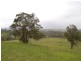 Tinonee NSW 2430