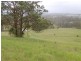 Tinonee NSW 2430