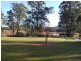 Firefly NSW 2429