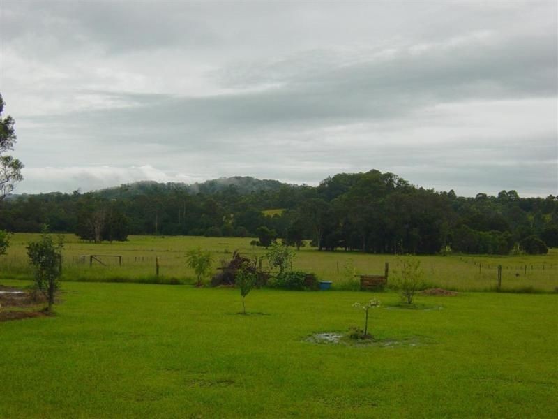 Firefly NSW 2429