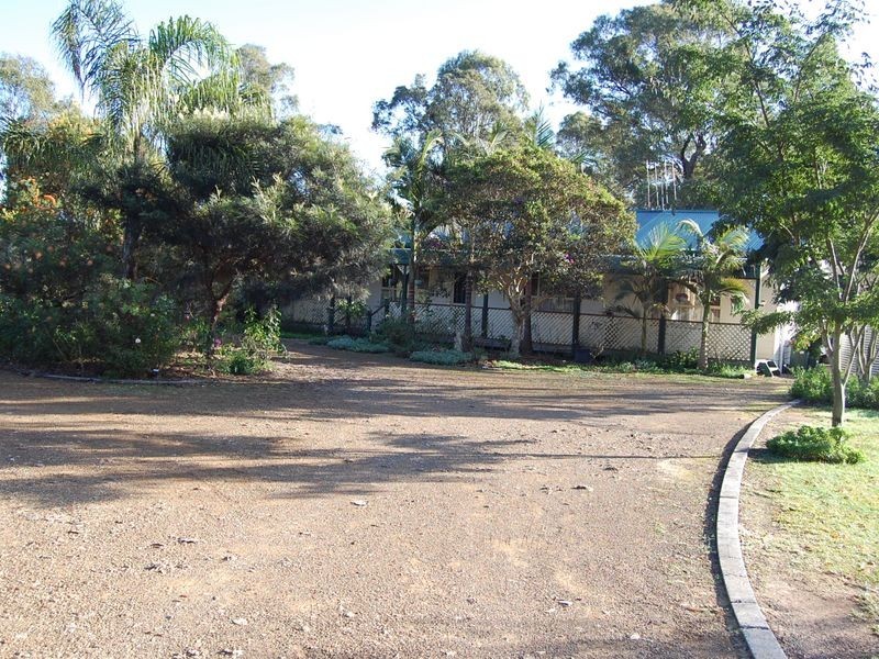 Firefly NSW 2429