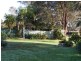 Firefly NSW 2429