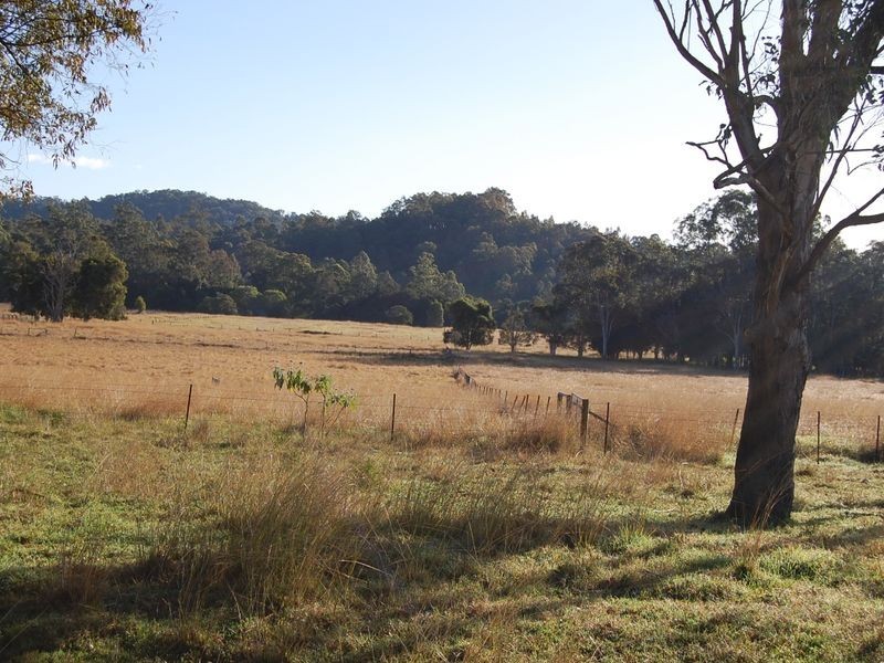 Firefly NSW 2429