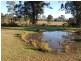 Firefly NSW 2429