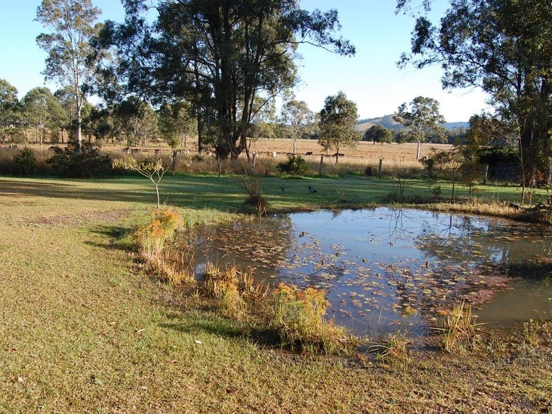 Firefly NSW 2429