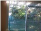 Firefly NSW 2429