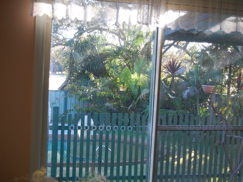 Firefly NSW 2429