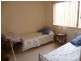 Wingham NSW 2429