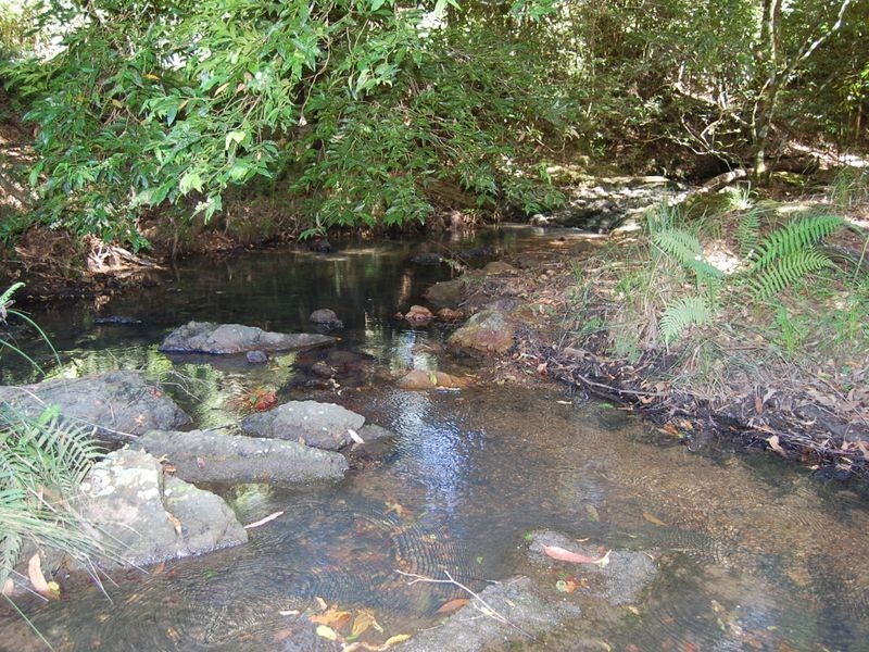 Mooral Creek NSW 2429