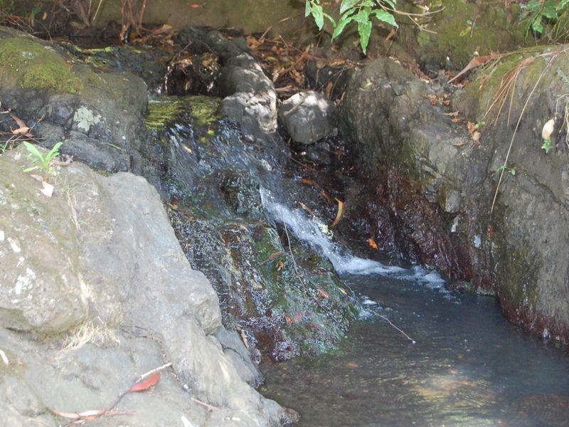 Mooral Creek NSW 2429