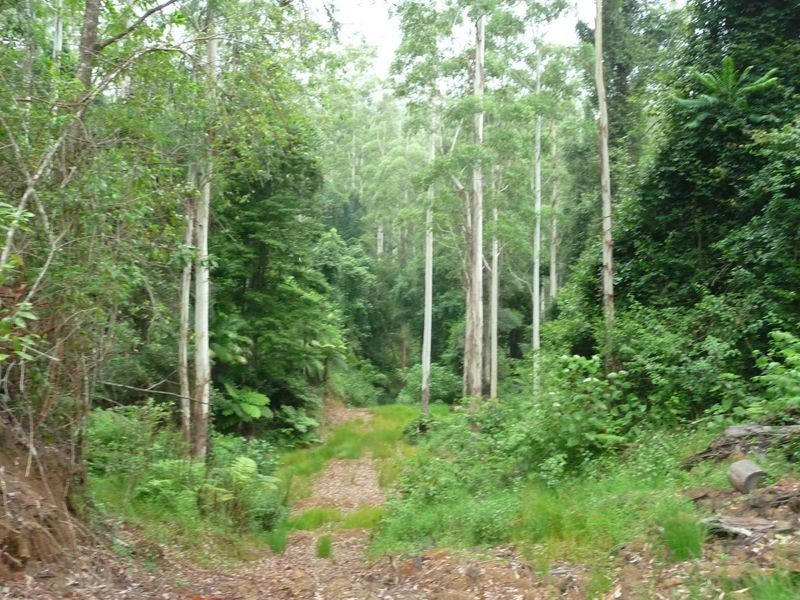 Upper Lansdowne NSW 2430