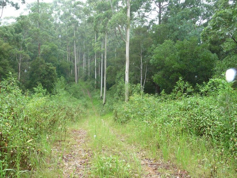 Upper Lansdowne NSW 2430
