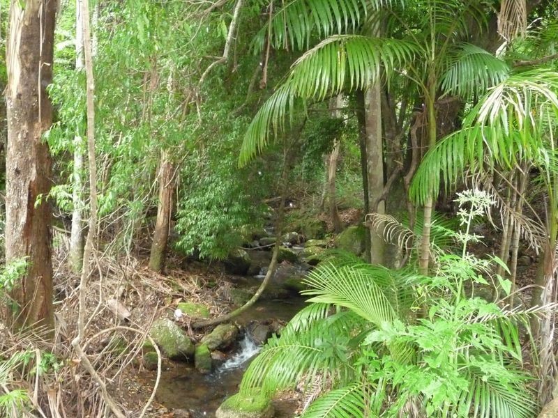 Upper Lansdowne NSW 2430