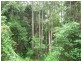 Upper Lansdowne NSW 2430