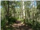 Upper Lansdowne NSW 2430