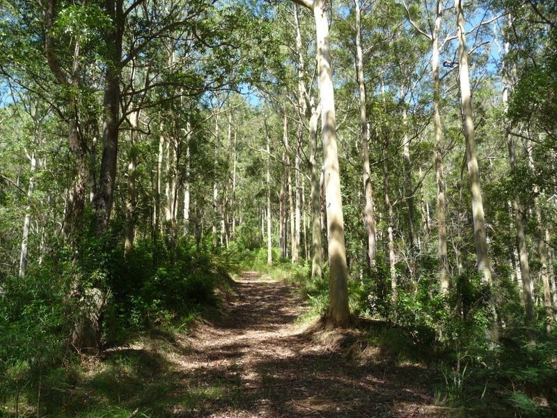 Upper Lansdowne NSW 2430