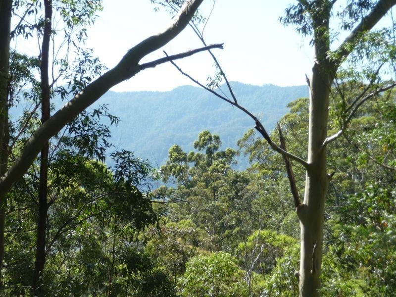 Upper Lansdowne NSW 2430