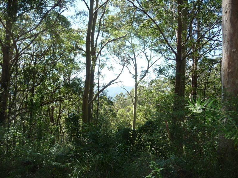 Upper Lansdowne NSW 2430