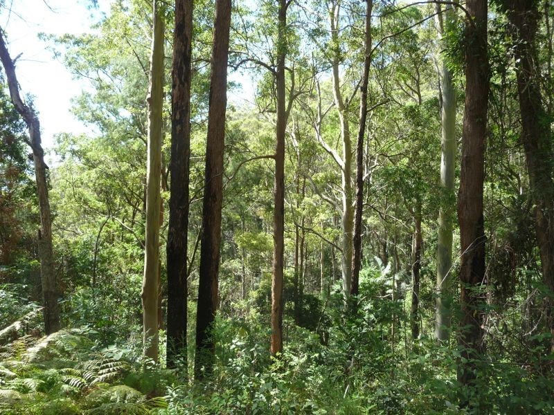 Upper Lansdowne NSW 2430
