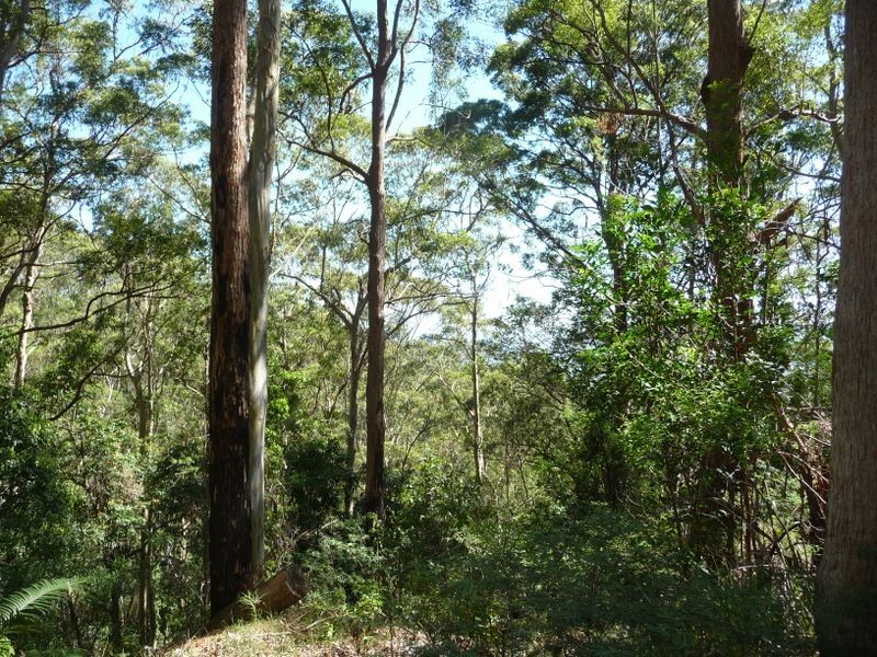 Upper Lansdowne NSW 2430