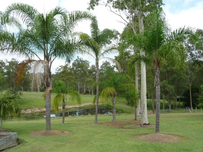 5A Honeyeater Place, Wingham NSW 2429