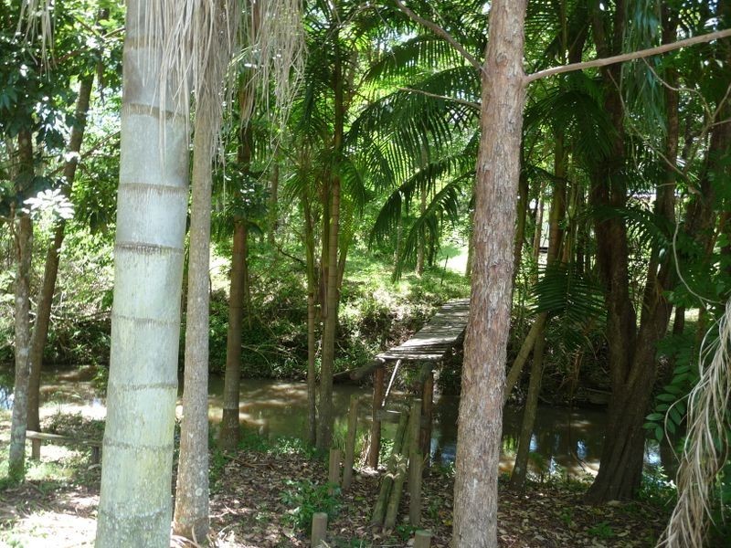 Killawarra NSW 2429