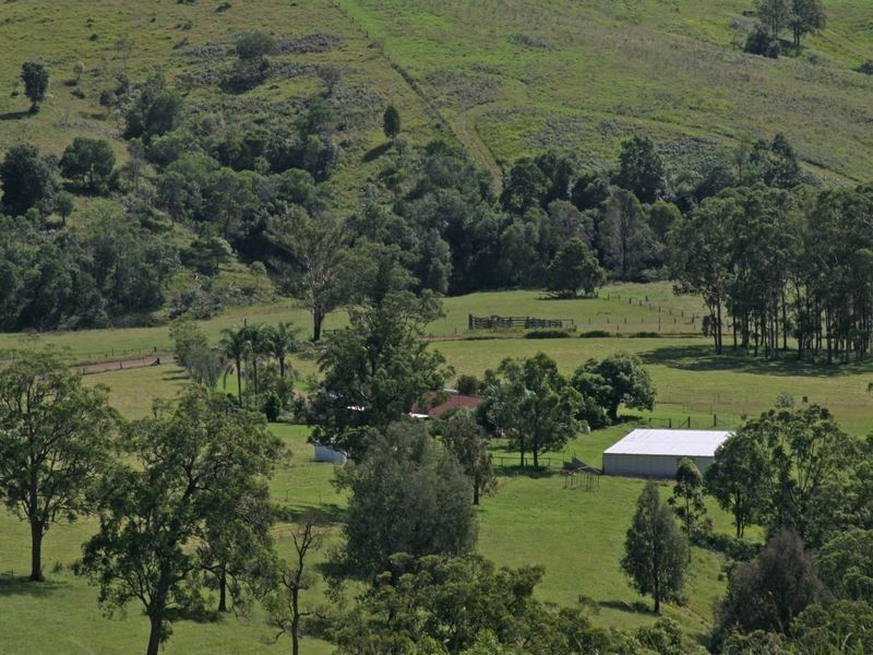 Wherrol Flat NSW 2429