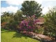 Wherrol Flat NSW 2429
