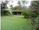 Wingham NSW 2429