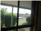 Wingham NSW 2429