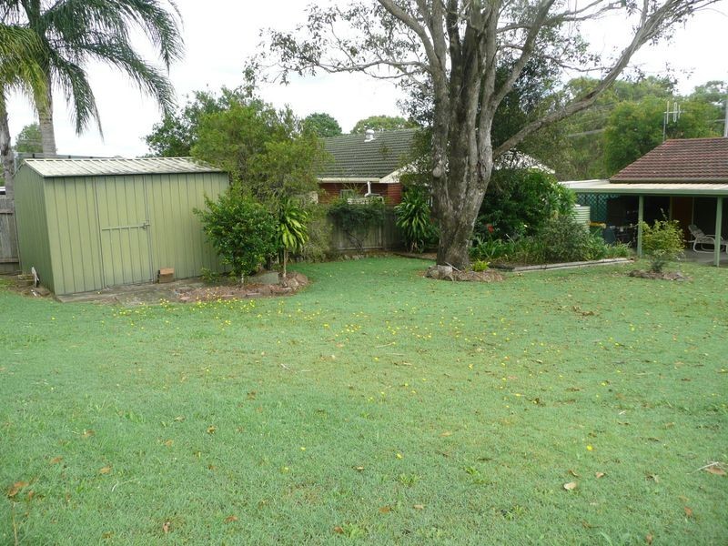 Wingham NSW 2429