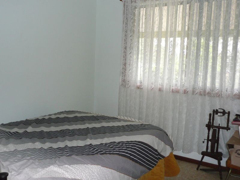 Wingham NSW 2429