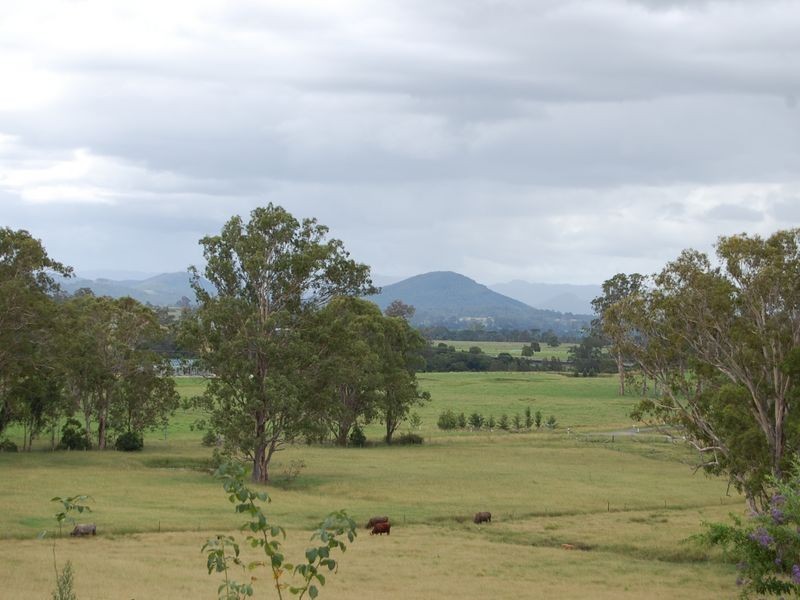 Burrell Creek NSW 2429