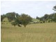Burrell Creek NSW 2429