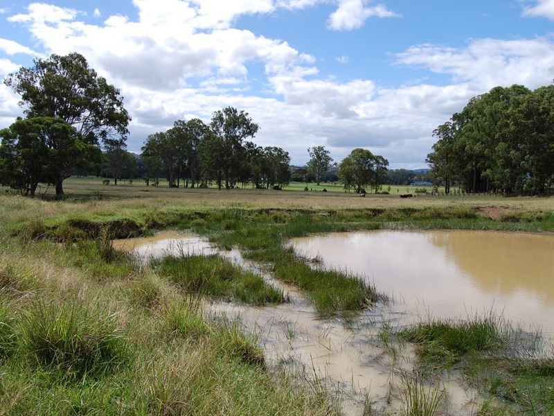 Burrell Creek NSW 2429